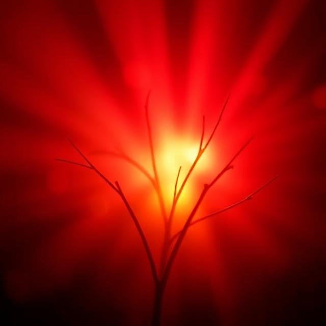 Biphasic Dose Response in Low Level Light Therapy