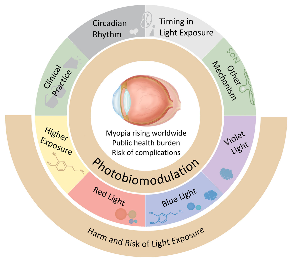 Photobiomodulation Therapy: The Dawn of Myopia Control